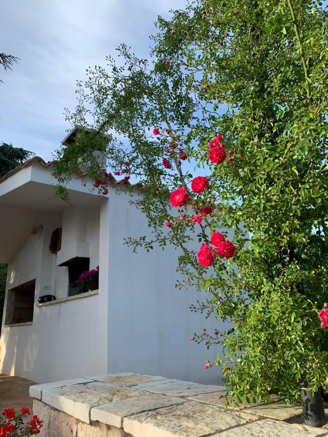 Il Trullo Di Francesca Villa Ceglie Messapica Exterior foto